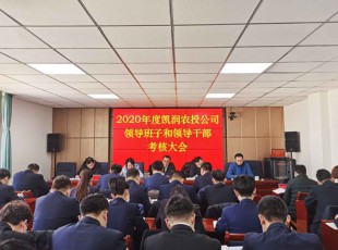 yl23455永利 召开2020年度向导班子和向导干部审核大会